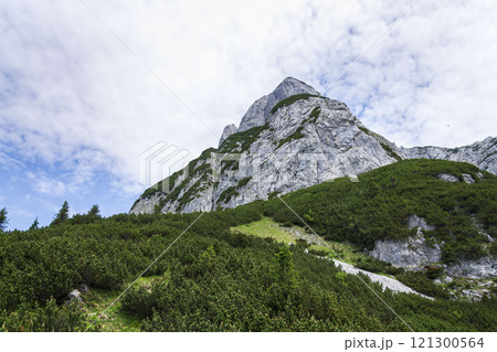 Path to the Angerstein mountain summit, Alps, Gosau, Gmunden district, Upper Austria federal state, sunny summer day, clear blue sky 121300564