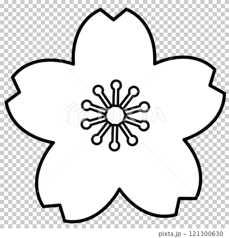 Simple and cute cherry blossom illustration 121300630