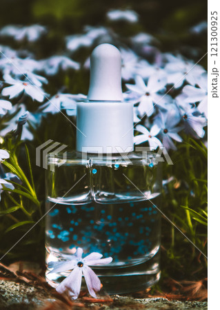 Glass serum cosmetic bottle Essential oil among violet flowers. Natural skincare Glass serum cosmetic bottle Essential oil among violet flowers. Natural skincare 121300925