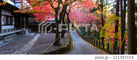 241113日枝神社z068~075-S 241113日枝神社z068~075-S 121301558