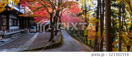 241113日枝神社z084～091-S 121301559