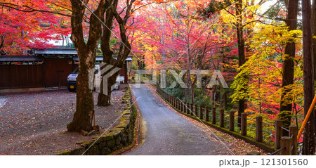 241113日枝神社z109～114-S 121301560