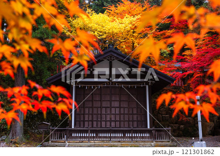 241114日枝神社z035 121301862