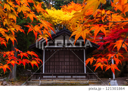 241114日枝神社z047 121301864