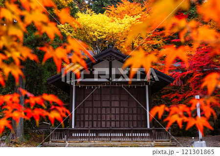 241114日枝神社z048 121301865