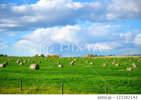 Scenic road trip with lush meadow and haystack on agricultural field in countryside 121302143