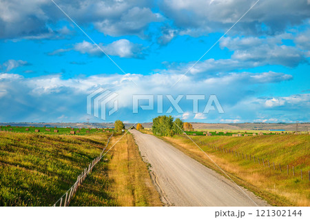 Scenic country road through agricultural field and pasture in autumn at countryside Scenic country road through agricultural field and pasture in autumn at countryside 121302144