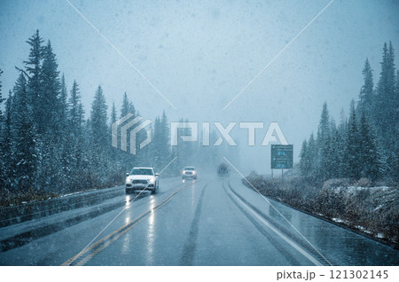 Scenic road trip with snowy pine forest and low visibility on winter Scenic road trip with snowy pine forest and low visibility on winter 121302145
