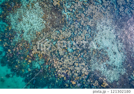 Colourful coral reef and coral bleaching ecosystem with diverse marine life in tropical sea 121302180