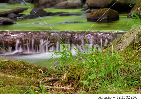 brook in the green forest. recreation wallpaper. water flows among mossy stones and trees. beautiful parks and outdoors nature background in summer. refreshing purity 121302256
