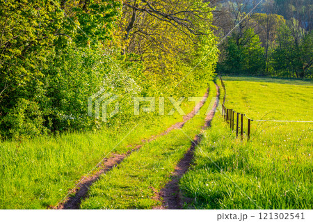 A peaceful rural country road meanders through lush green fields and dense trees, inviting a leisurely walk or a scenic drive on a sunny day. 121302541