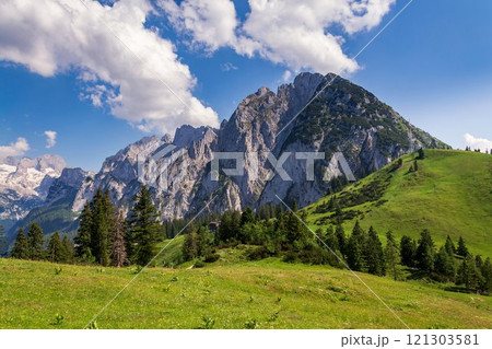 Donnerkogel Mountain in Alps, Gosau, Gmunden district, Upper Austria federal state, sunny summer day 121303581