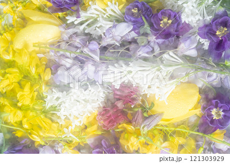 Lilac and yellow white spring flowers blurred behind wet glass Lilac and yellow white spring flowers blurred behind wet glass 121303929