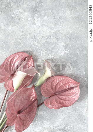 Tropical flamingo flowers light pink pastel anthuriums and calla 121303942