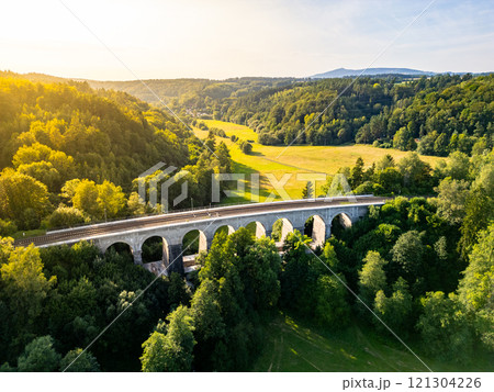 Aerial view of Sychrov Railway Bridge surrounded by lush greenery, showcasing its architectural structure against a vibrant landscape. 121304226