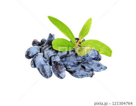 Blue Honeysuckle berries (Lonicera caerulia) with leaves. Blue Honeysuckle berries (Lonicera caerulia) with leaves. 121304764