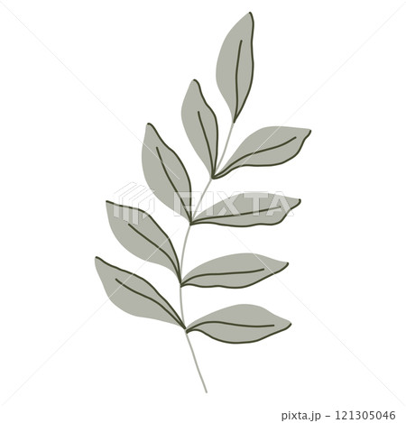 Elegant minimalist vector botanical illustration of green leaves with subtle line art. Created in a modern flat style with neutral tones. Perfect for eco-friendly designs, logos, and digital art Elegant minimalist vector botanical illustration of green leaves with subtle line art. Created in a modern flat style with neutral tones. Perfect for eco-friendly designs, logos, and digital art 121305046