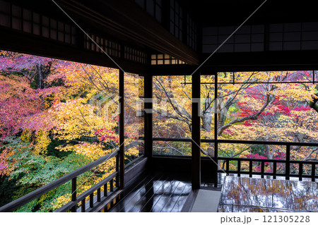 秋の瑠璃光院 121305228