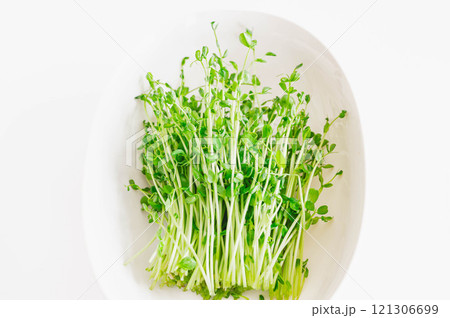 収獲した豆苗　再生栽培 121306699