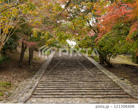 東大寺猫段の紅葉と鹿 東大寺猫段の紅葉と鹿 121306806