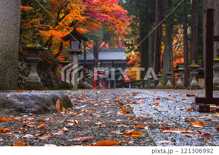 241115日枝神社z010 121306992