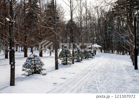 冬の公園 121307072