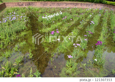 庄堺公園 121307353