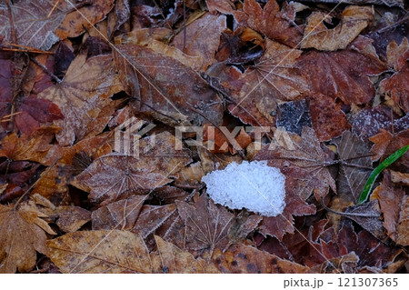 残雪と霜落葉のテクスチャ 残雪と霜落葉のテクスチャ 121307365