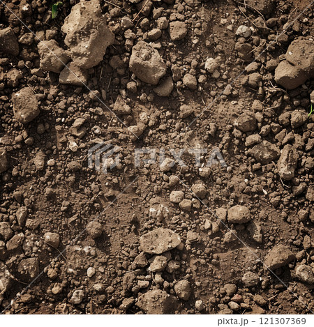 Textured surface of raw brown dirt features small stones, pebbles, and earth clumps, illuminated by bright sunlight in an open area Textured surface of raw brown dirt features small stones, pebbles, and earth clumps, illuminated by bright sunlight in an open area 121307369