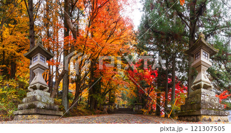 241115日枝神社z149～158-S 121307505