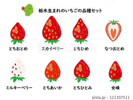 いちご品種セット　栃木県 121307511