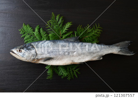 新巻鮭 (北海道産 オス 白鮭) 新巻鮭 (北海道産 オス 白鮭) 121307557