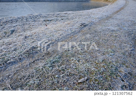 冬の水田の畦道 121307562