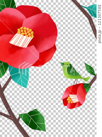 赤い椿とウグイスのイラストレーション 赤い椿とウグイスのイラストレーション 121307588