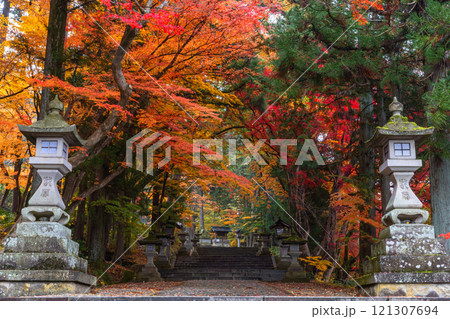 241115日枝神社z164 241115日枝神社z164 121307694