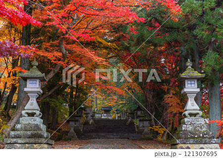 241115日枝神社z167 121307695