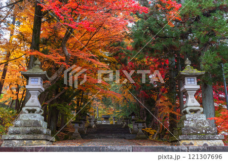 241115日枝神社z170 121307696