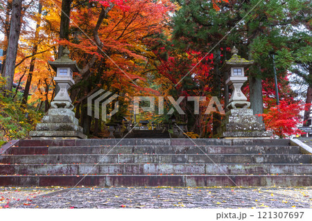 241115日枝神社z171 241115日枝神社z171 121307697