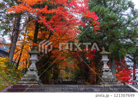 241115日枝神社z175 121307699