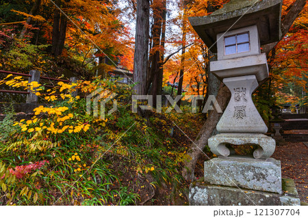 241115日枝神社z192 121307704