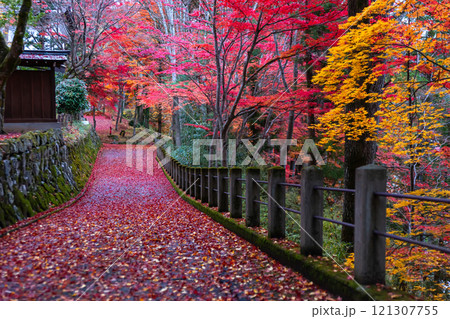 241118日枝神社z002 121307755