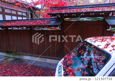 241118日枝神社z009 241118日枝神社z009 121307758