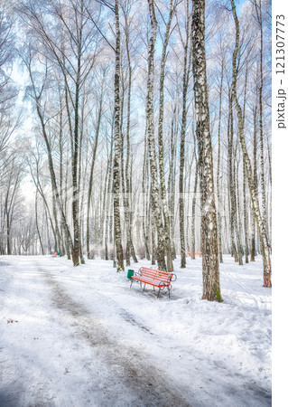 Majestic view of park bench and trees covered by heavy snow. Majestic view of park bench and trees covered by heavy snow. 121307773