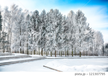 Picturesque landscape with snow-covered trees in the city park. Picturesque landscape with snow-covered trees in the city park. 121307795