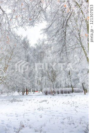 Incredible landscape with snow-covered trees in the city park. Incredible landscape with snow-covered trees in the city park. 121307853