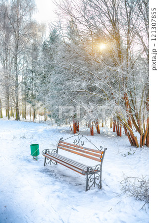 Incredible view of park bench and trees covered by heavy snow. 121307855