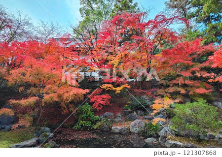 京都長岡京市長岡天満宮紅葉 京都長岡京市長岡天満宮紅葉 121307868
