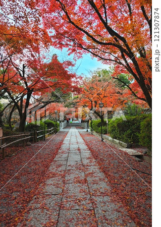 京都長岡京市長岡天満宮紅葉 京都長岡京市長岡天満宮紅葉 121307874
