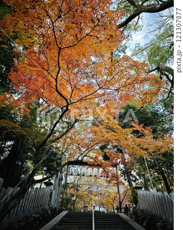京都長岡京市長岡天満宮紅葉 121307877