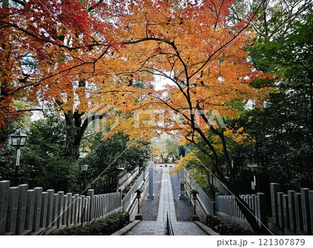 京都長岡京市長岡天満宮紅葉 121307879
